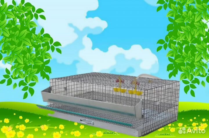 Клетка для перепелов на 30 голов