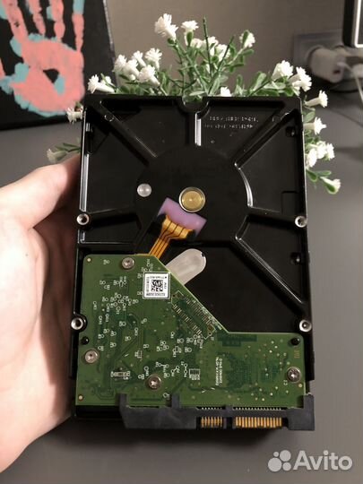 WD blue 2TB 7200