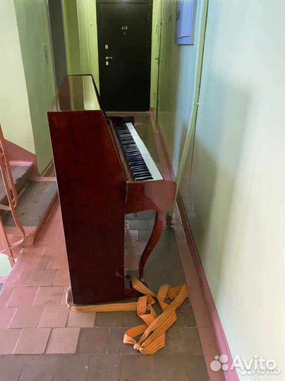 Грузчики