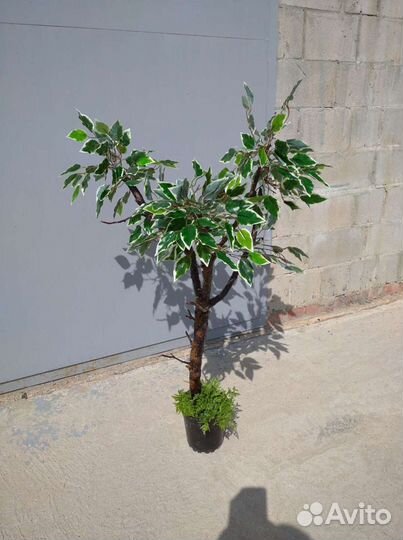 Дерево искусственное