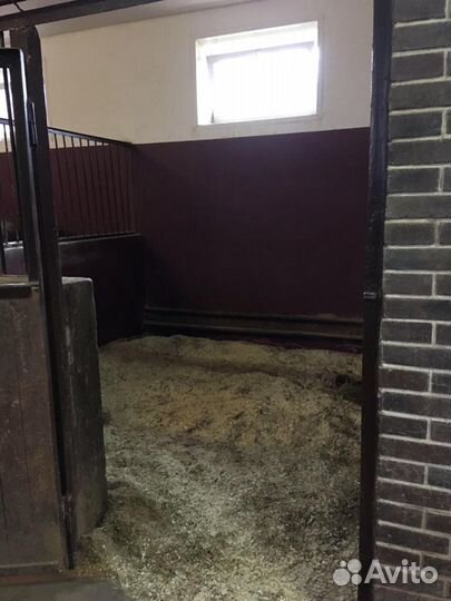 Конный клуб