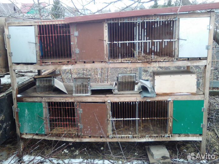 Клетки для кроликов