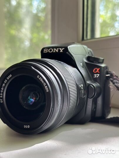Продам фотоаппарат Sony Alpha SLT-A37