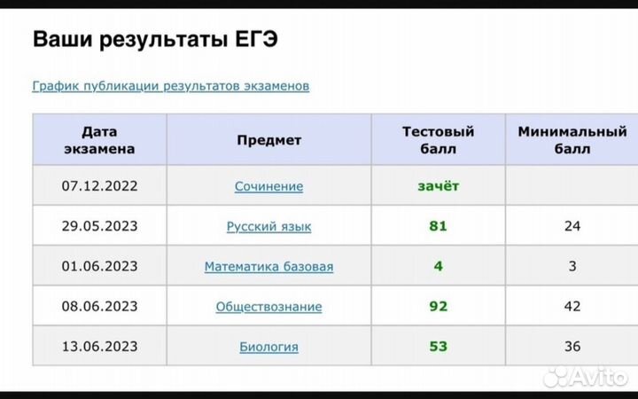 Репетитор по русскому языку подготовка к ОГЭ ЕГЭ