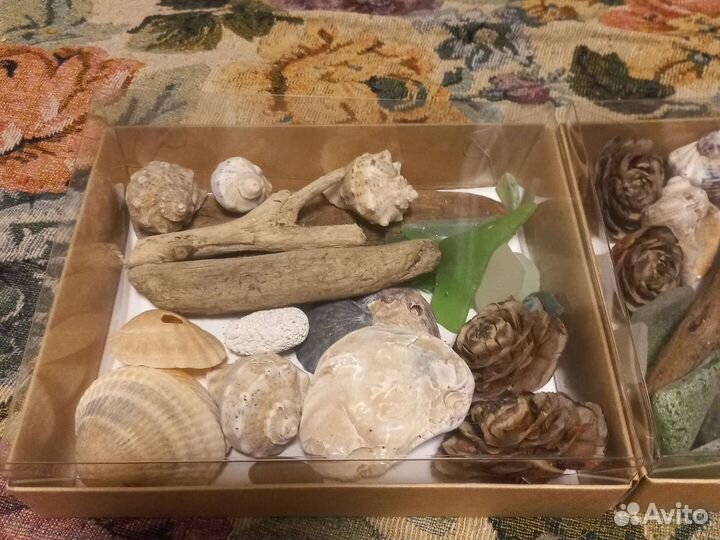 Набор для творчества из природных материалов