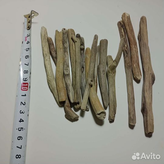 Дрифтвуд Черного моря