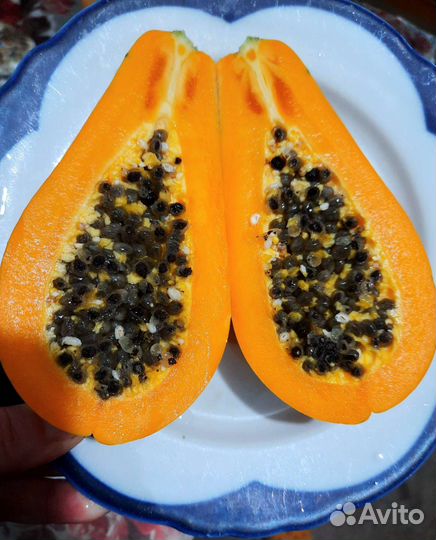 Папайя 3 сорта, семена свежие