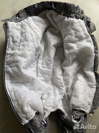 Одежда для собак