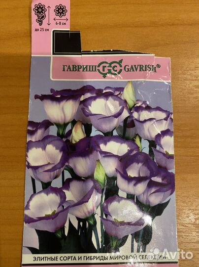 Эустома крупноцветковая рассада