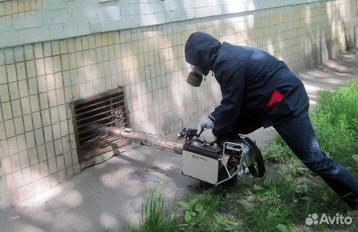 Дезинфекция уничтожение клопа таракана дезинсекция