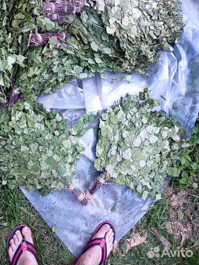 Веники для бани