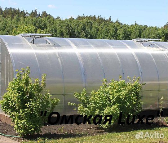 теплица из поликарбоната 3х8. теплицы в омске от производителя. теплицы в омске от производителя. 5х6. теплица омская усиленная монтаж.
