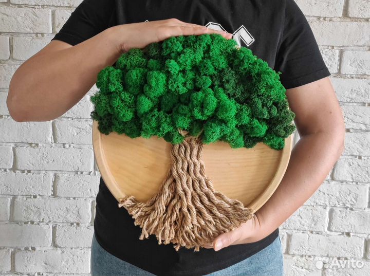 Панно из натурального дерева и мха. В наличии