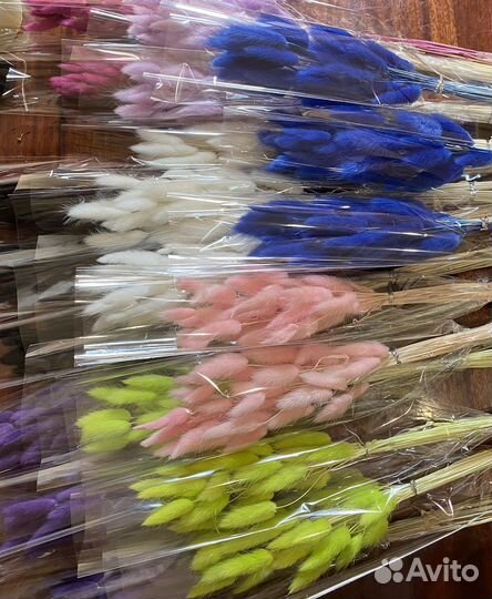 Сухоцветы лагурус