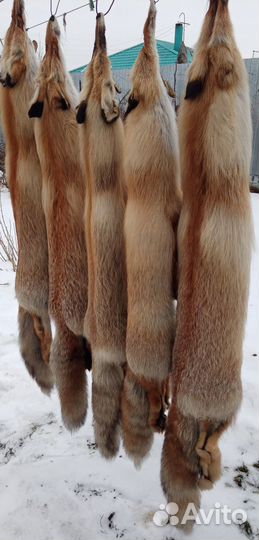 Продам не дорогоТорг уместен Очень красивые мягкие