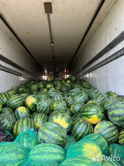 Помидор перец арбузы