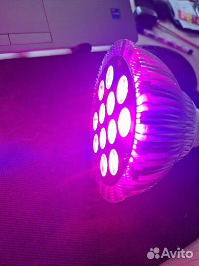 Фитолампа минифермер для рассады