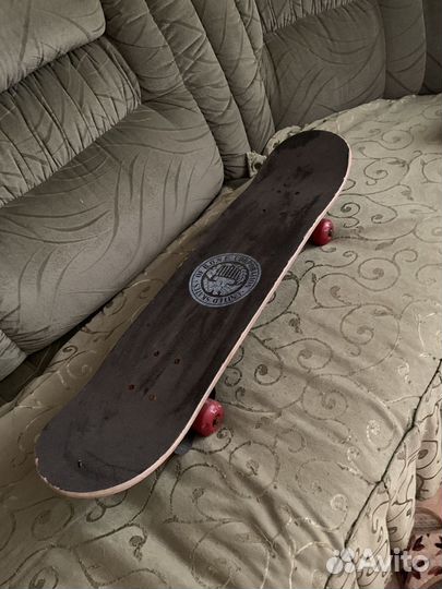 Скейтборд united