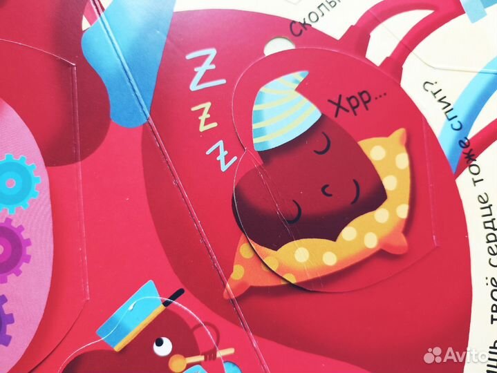 Энциклопедия детская с окошками.Мое тело.Животные