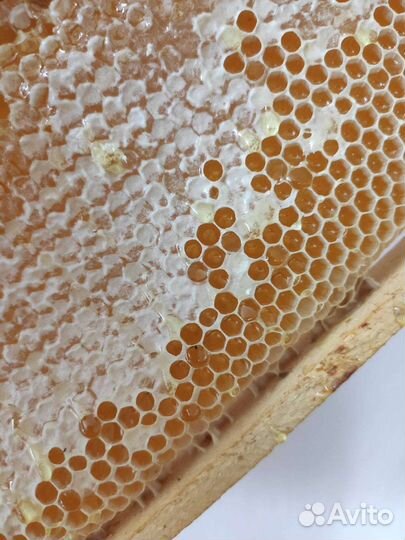 Мед, медовые рамки