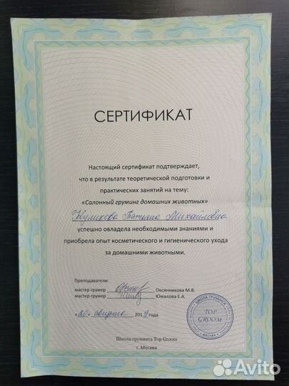 Зоопсихолог кошки, собаки