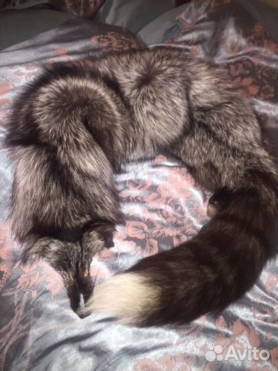 Воротник из чернобурки горжетка