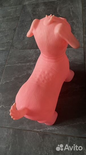 Собака резиновая