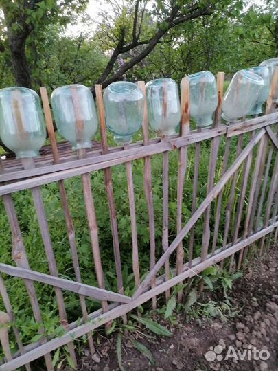 Банка 3х литровая