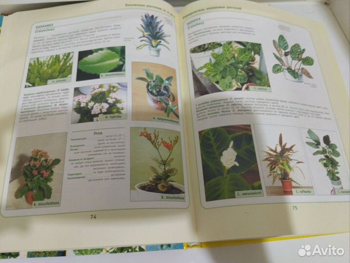 Книга про растения