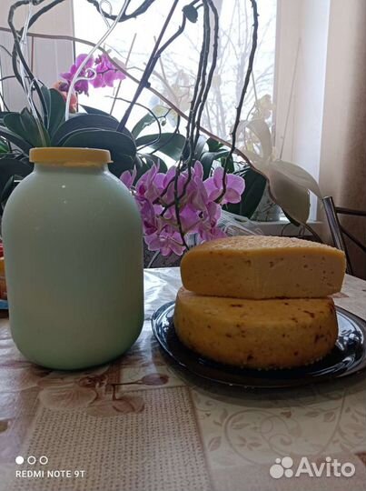 Продам козье молоко