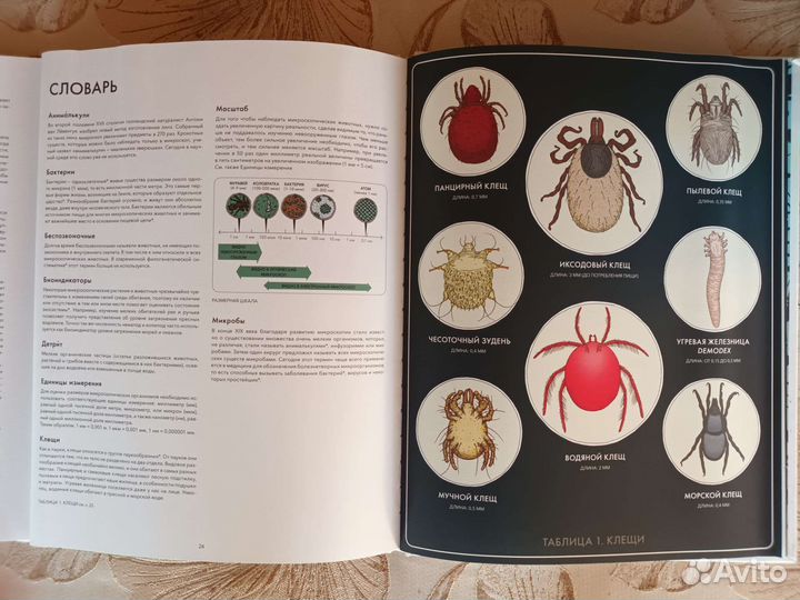 Книги издательства миф