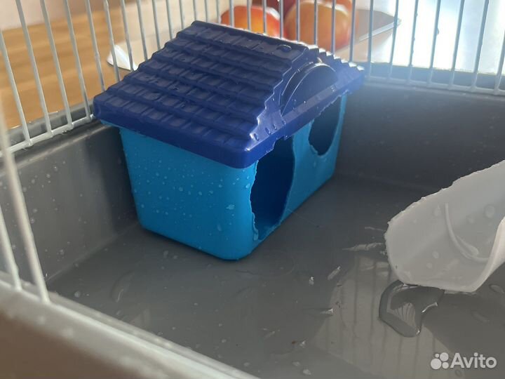 Клетка для хомяка бу