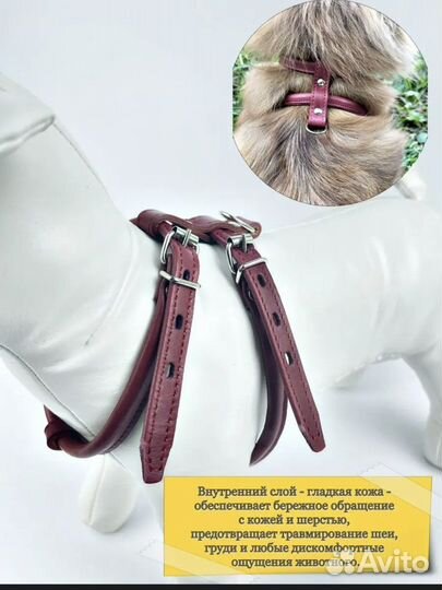 Шлейка для собаки