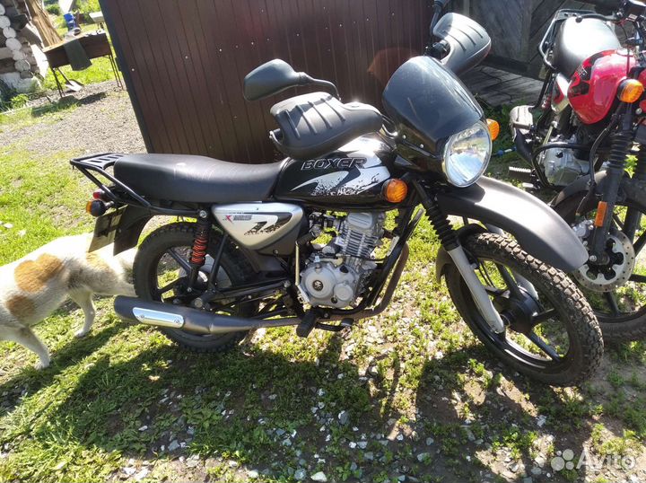 Bajaj boxer 125