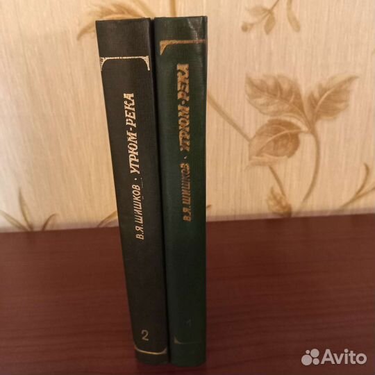 В.Я. Шишков угрюм - река