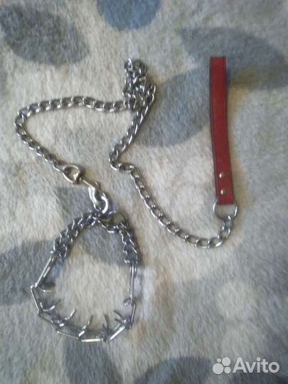 Строгий ошейник с поводком