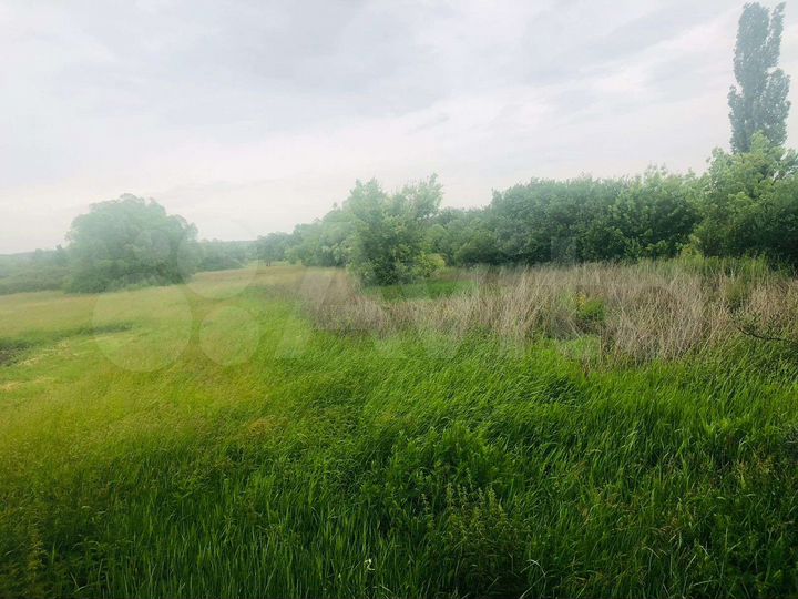 Дом 200 м² на участке 50 сот.