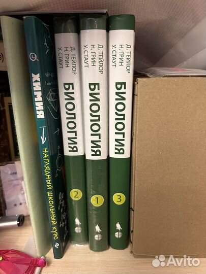 Тейлор грин стаут