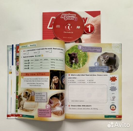 Academy stars starter 1, 2, 3, 4