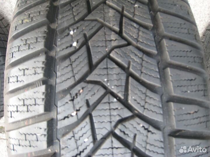 Dunlop Winter Sport 5 205/60 R16