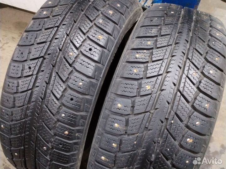 Zeetex WP1000 195/55 R15