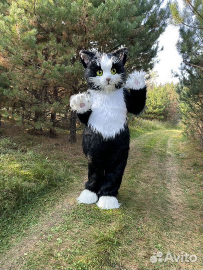 Кот Мурзик ростовая кукла поздравление