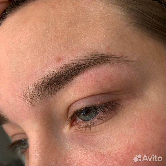 Мастер бровист