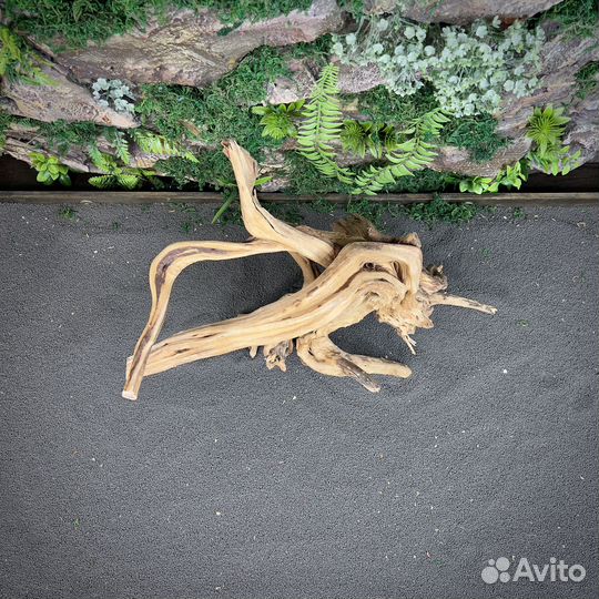 Коряга для аквариума Корень Азалии (нк431)