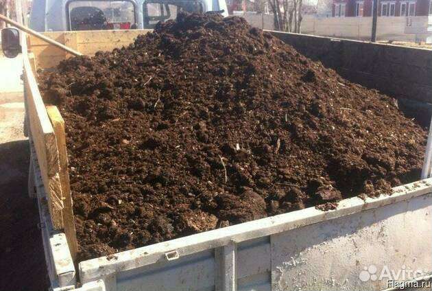 Перегной Чернозем