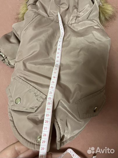 Куртка для собак мелких пород