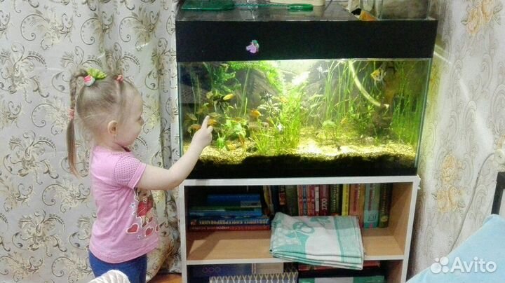 Аквариумы на заказ