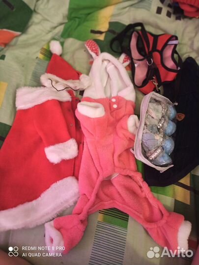 Одежда для маленьких собак