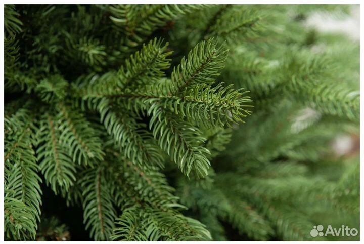 Ель 2,3м пристенная зеленая R15275N