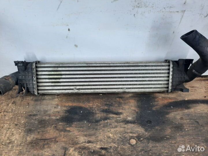 Интеркулер Ford Focus 2 хэтчбек 1.6 2008